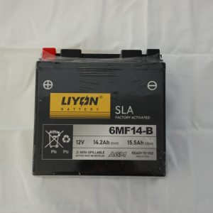 Engine starting battery